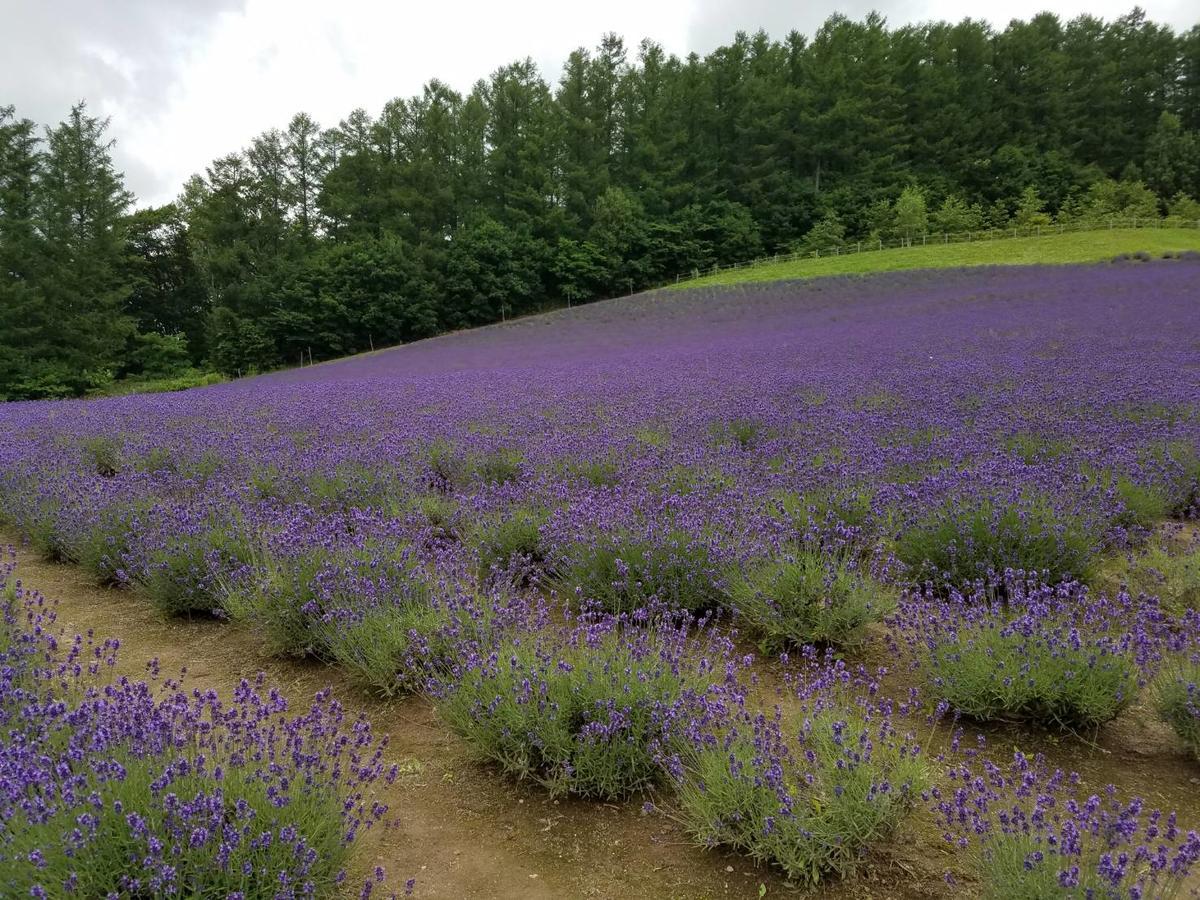 富良野mount villa 富良野市 エクステリア 写真
