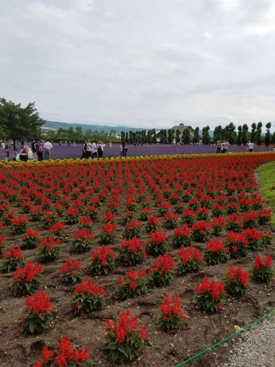 富良野mount villa 富良野市 エクステリア 写真