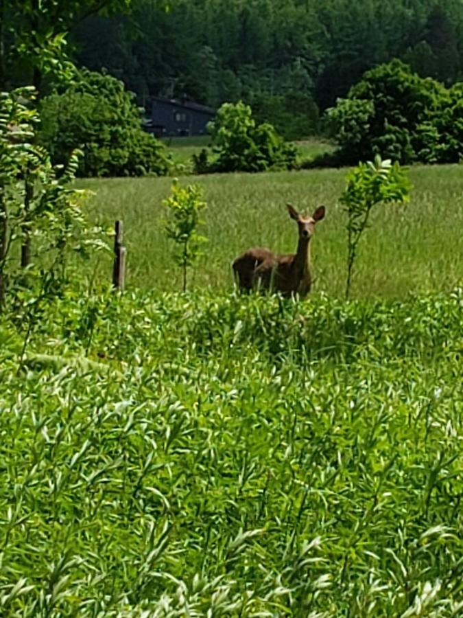 富良野mount villa 富良野市 エクステリア 写真